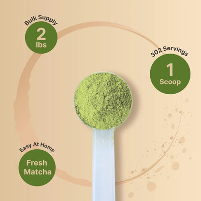 Té Verde Matcha Orgánico En Polvo 900 Gramos Grado Culinario Sin Azúcar Vegano