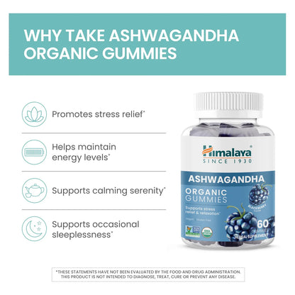Gomitas Orgánicas KSM66 Ashwagandha Sabor Mora Alivio Estrés Energía