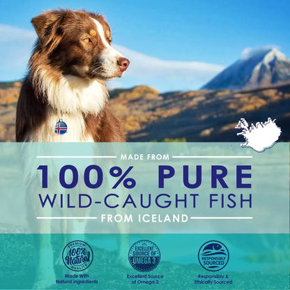 Aceite De Pescado Liquido Para Perros Omega 3 6 9 Piel Y Pelaje Saludable Importado