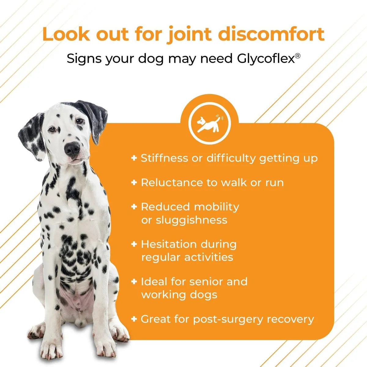 Vetriscience Glycoflex 3 Suplemento Articular Para Perros 120 Masticables