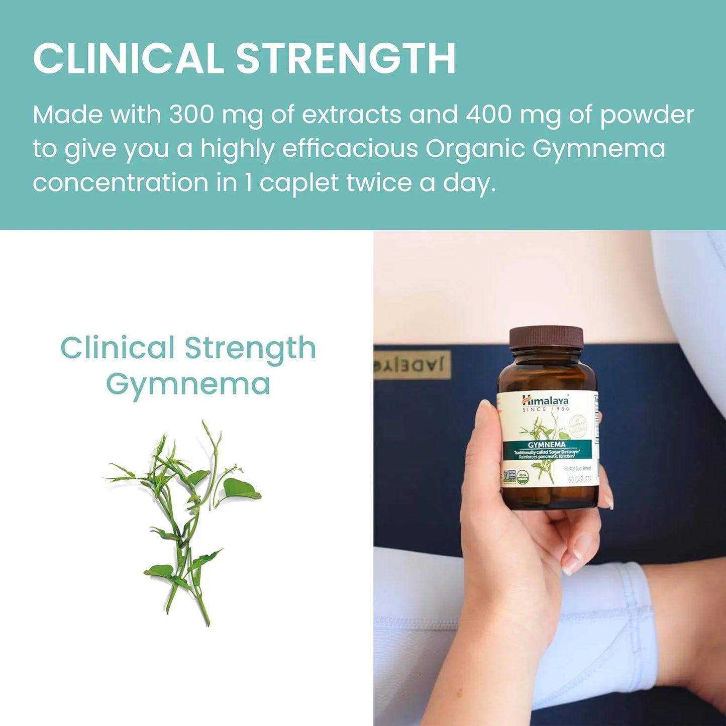 Himalaya Organic Gymnema Sylvestre 700mg Suplemento Herbal Metabolismo Glucosa