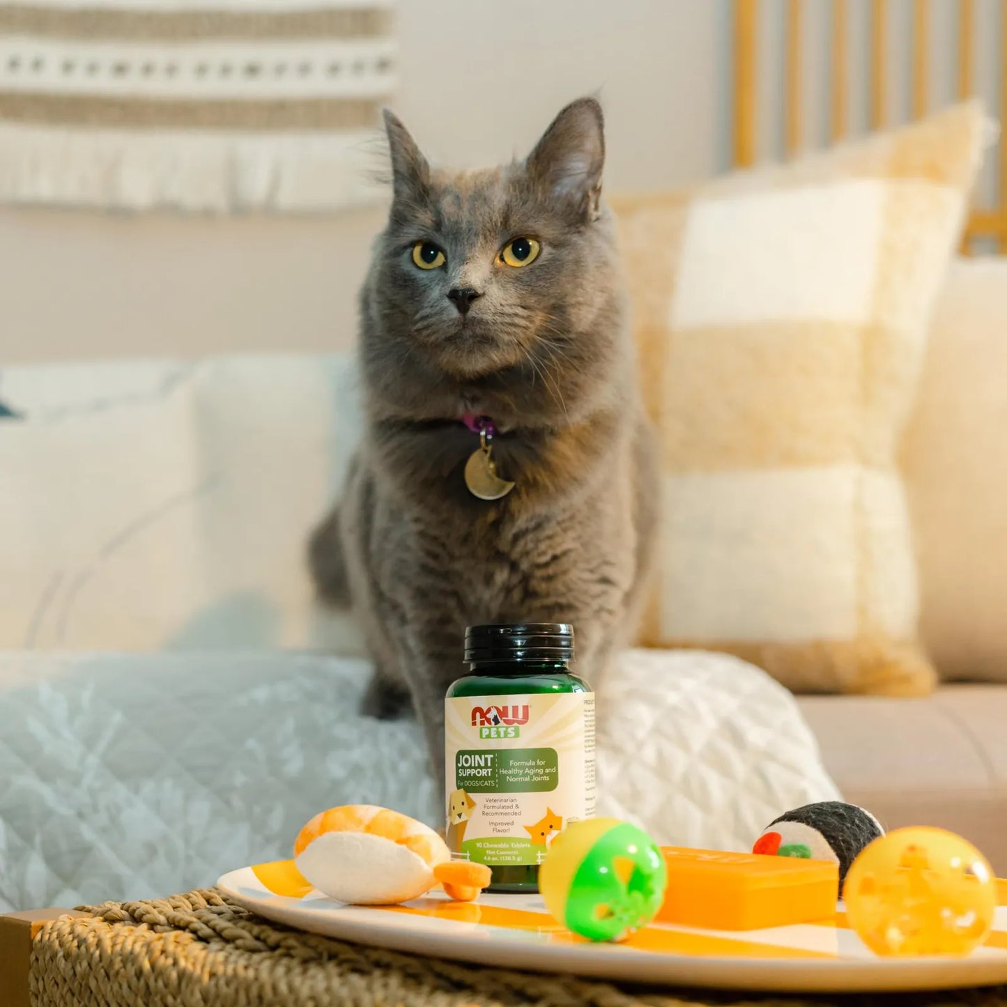 Suplemento Articular NOW Pets Para Perros Y Gatos 90 Tabletas Masticables Certificado NASC