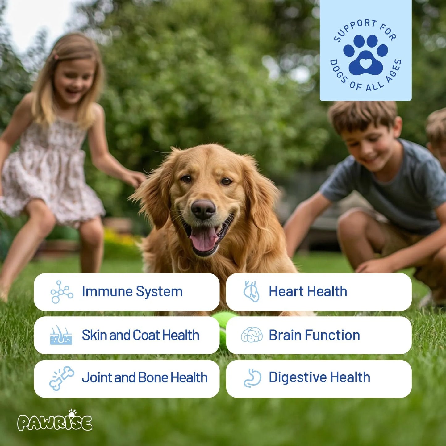 Multivitaminas Para Perros Cadera Articulaciones Piel 150 Masticables Importado Eeuu