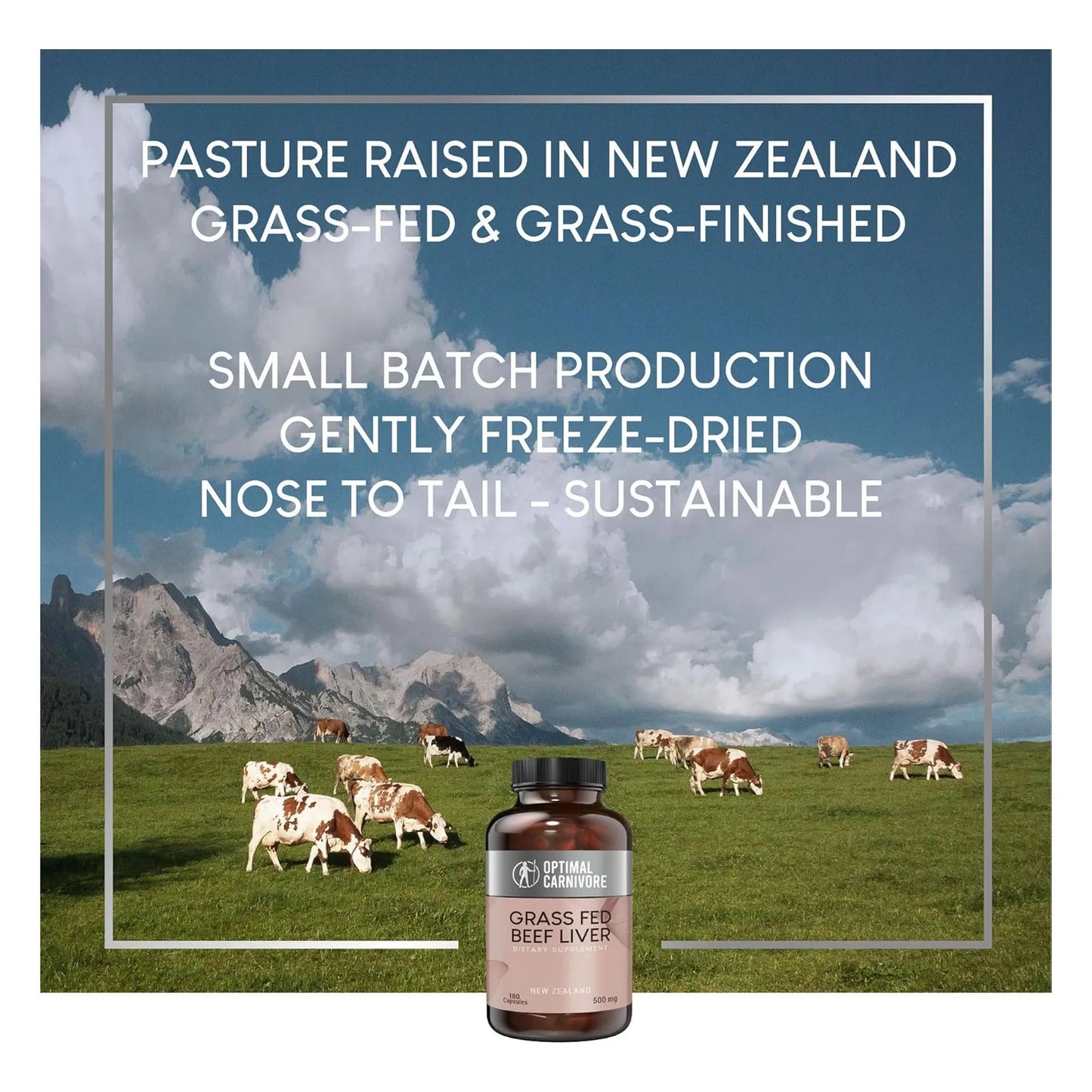 Capsulas De Higado Deshidratado De Res Alimentada Con Pasto Superalimento Nutritivo