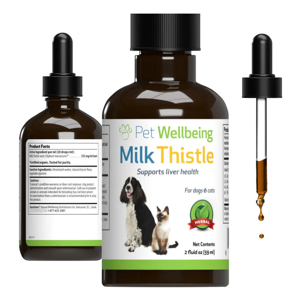 Cardo Mariano Para Perros Orgánico Apoyo Hepático Y Desintoxicación Natural