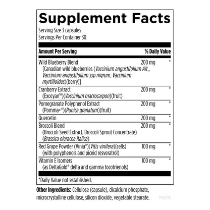 Suplemento De Polifenoles PhytoBiome Para Microbioma Intestinal 90 Cápsulas