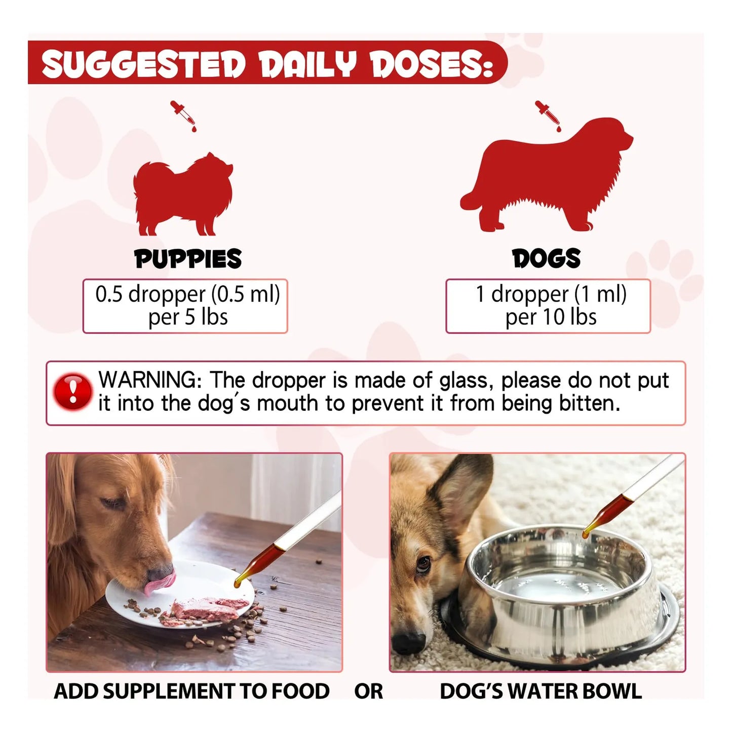 Hierro Líquido Para Perros Con Folato Y B12 Combate Anemia Y Aumenta Energía
