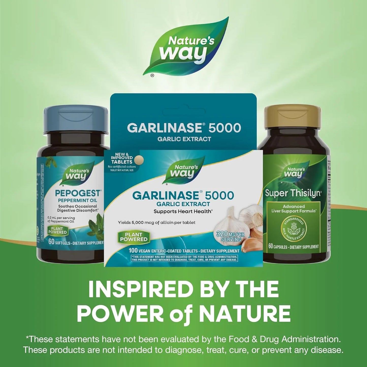 Tabletas Garlinase 5000 Nature's Way Salud Corazón 100 Unidades
