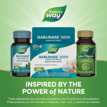 Tabletas Garlinase 5000 Nature's Way Salud Corazón 100 Unidades