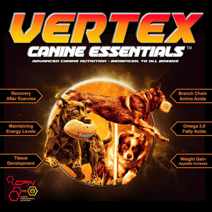 Vértice CPN 907 Gramos Energía Natural Para Entrenamiento Intenso