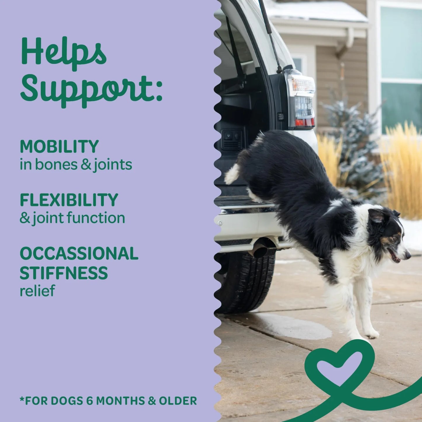 Masticables De Movilidad Para Perros Con Glucosamina Condroitina MSM Sabor Pollo