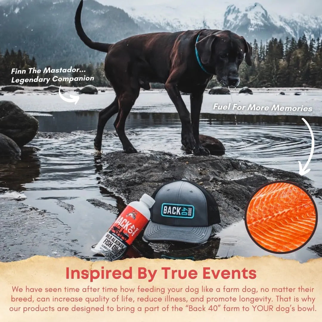 Aceite De Pescado Alaska Para Perros Y Gatos Piel Pelo Omega 3