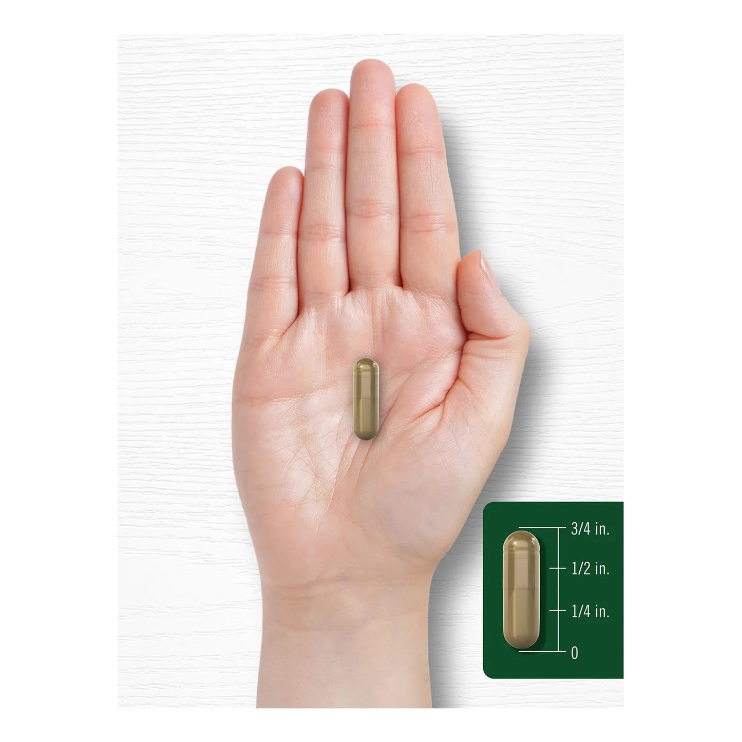 Ginkgo Biloba 6000 Mg 200 Cápsulas Máxima Potencia Suplemento Cognitivo