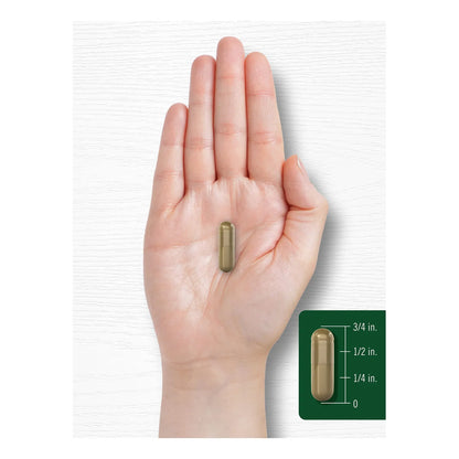 Ginkgo Biloba 6000 Mg 200 Cápsulas Máxima Potencia Suplemento Cognitivo