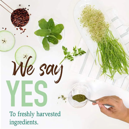 Polvo Orgánico Crudo De Superalimentos Verdes Energía Natural Y Nutrición Completa
