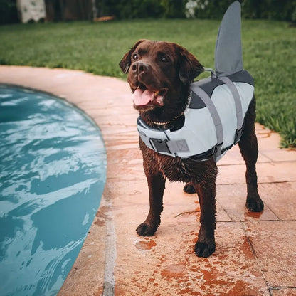 Chaleco Salvavidas Para Perros Talla L Diseño Tiburón Seguridad En El Agua