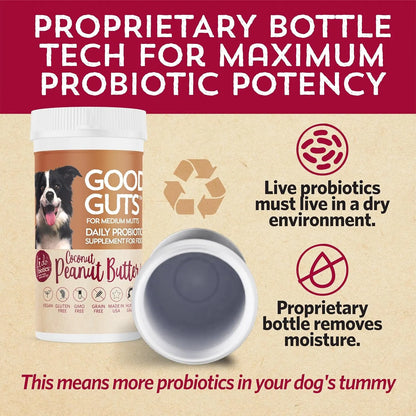 Probiótico Intestinal Para Perros Medianos 6 Mil Millones Uf Fidobiotics Good Guts Suplemento Digestivo