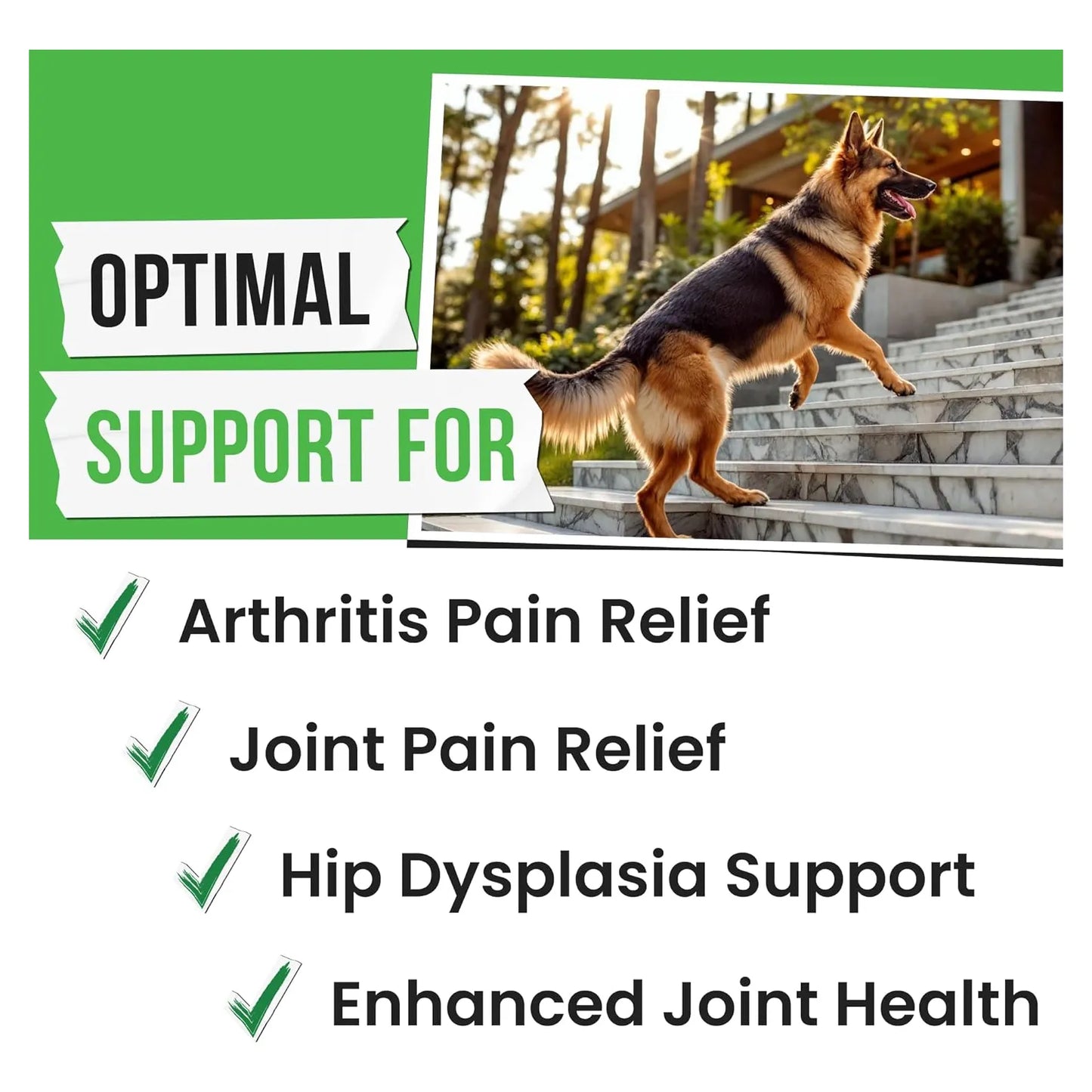 Golosinas Para Perros Con Glucosamina Y Condroitina Aceite De Pescado Omega 120Ct