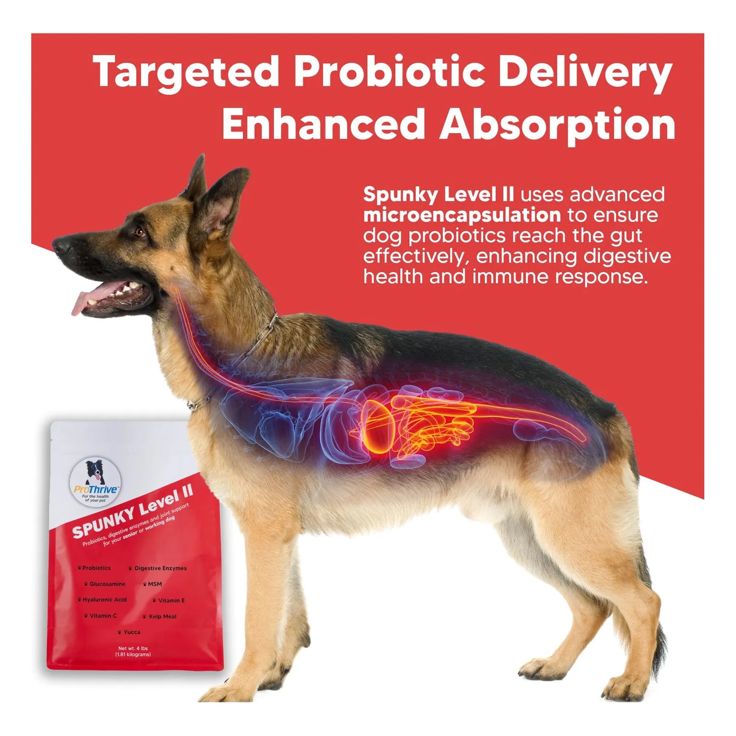 Suplemento Para Articulaciones De Perros Con Glucosamina MSM Y Probióticos Alivia Dolor Y Mejora Movilidad