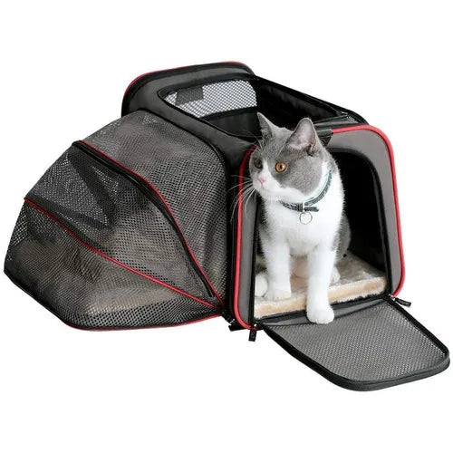 Transportin Extensible Petsfit Para Mascotas Comodo Y Seguro