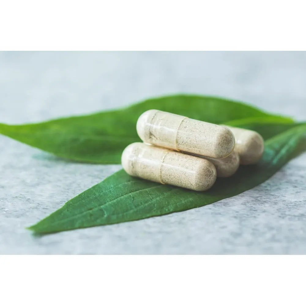 Capsulas De Hueso Y Medula De Nueva Zelanda 180 Unidades 750 Mg Antler Farms