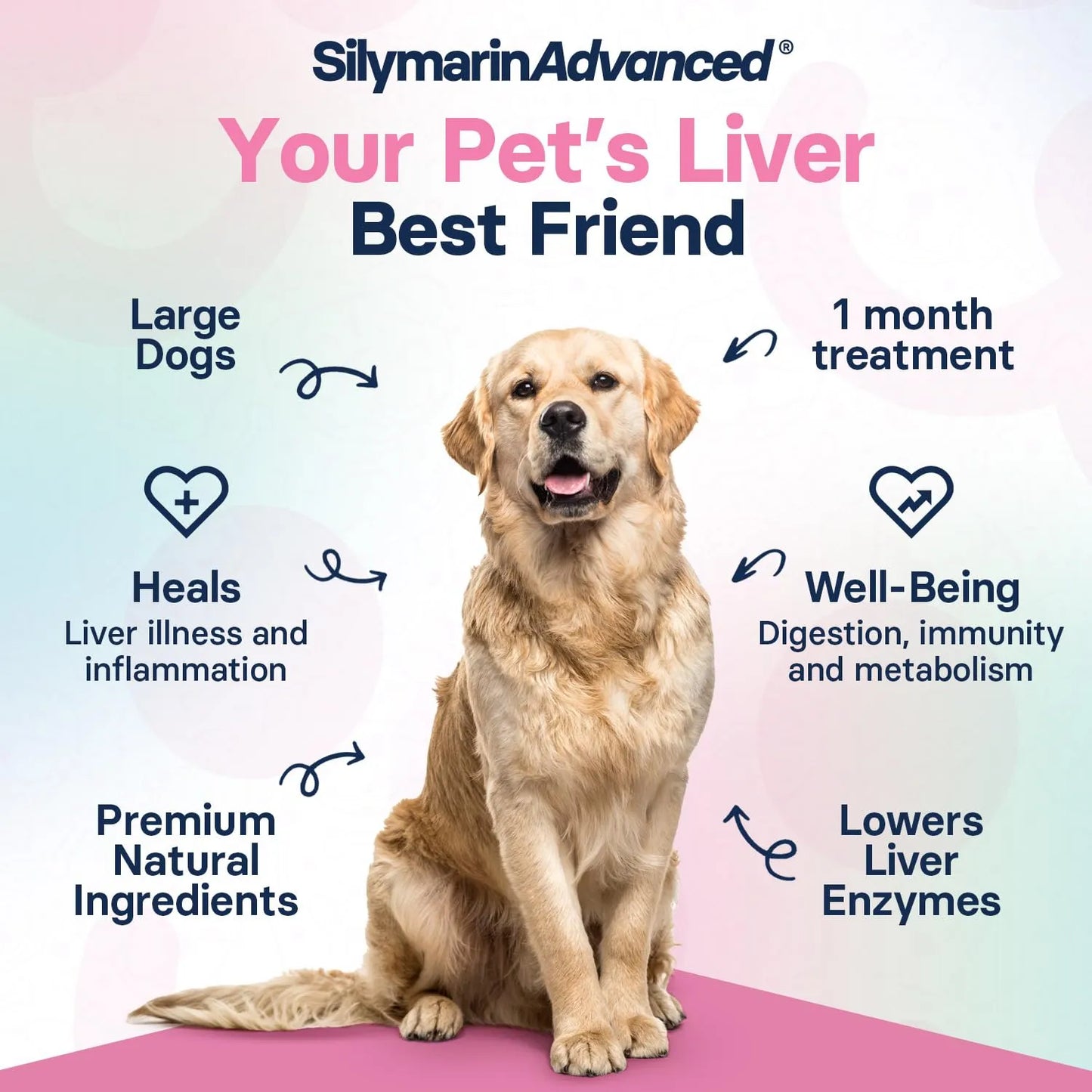 Suplemento Hepatico Para Perros Grandes Con SAMe Y Silibina 30 Tabletas