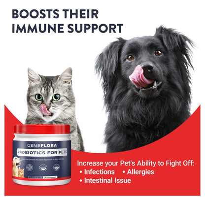 Geneflora Enzimas Digestivas Y Probióticos Para Mascotas 125 Mg 120 Porciones