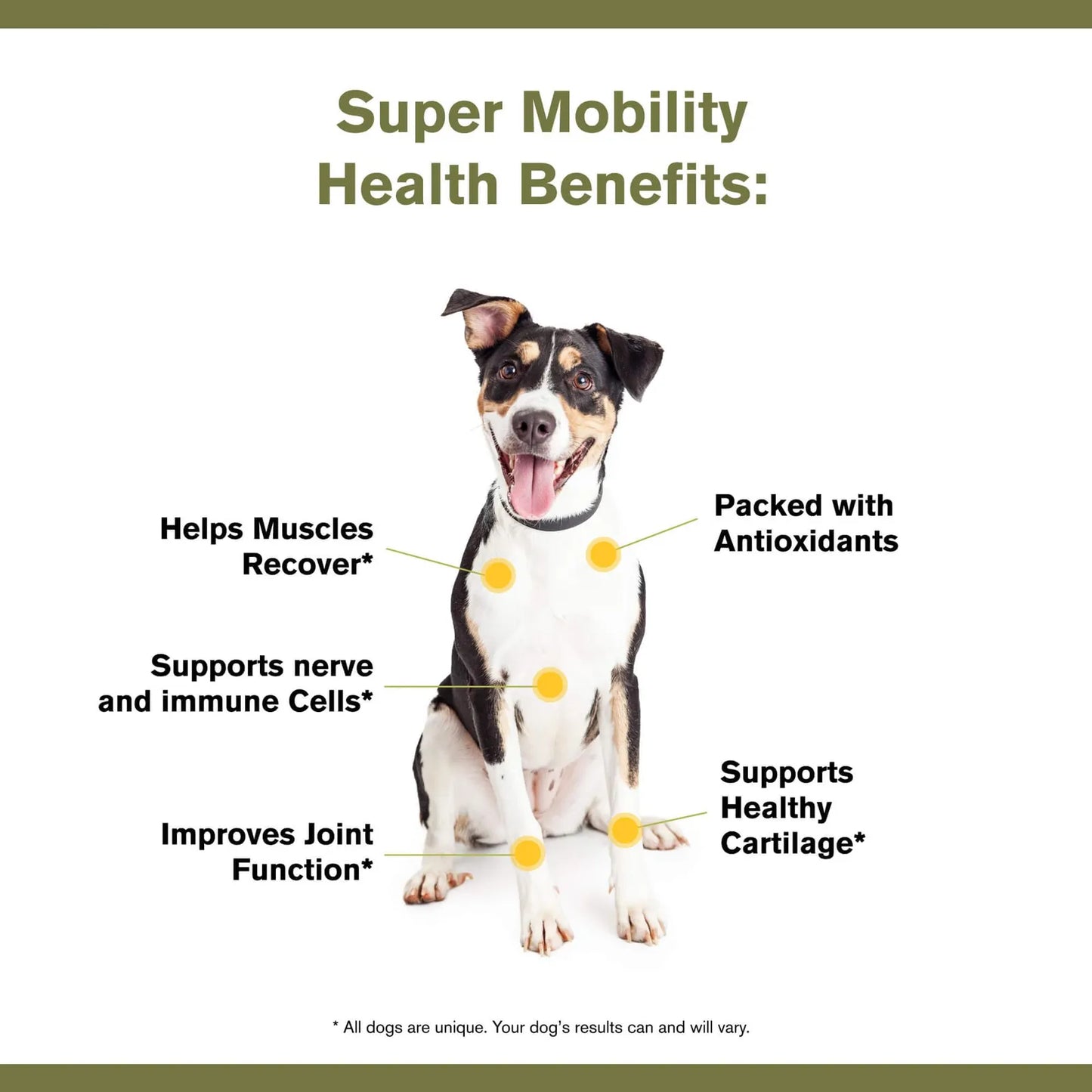Suplemento Canino Movilidad Articular Orgánico 3.17 Oz Cartílago Saludable