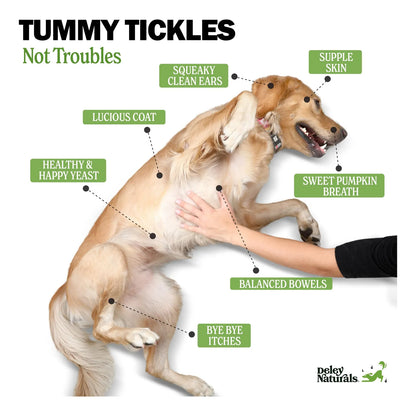 Chicles Probióticos Para Perros Salud Intestinal 5 Mil Millones De UFC Con Sabor A Calabaza