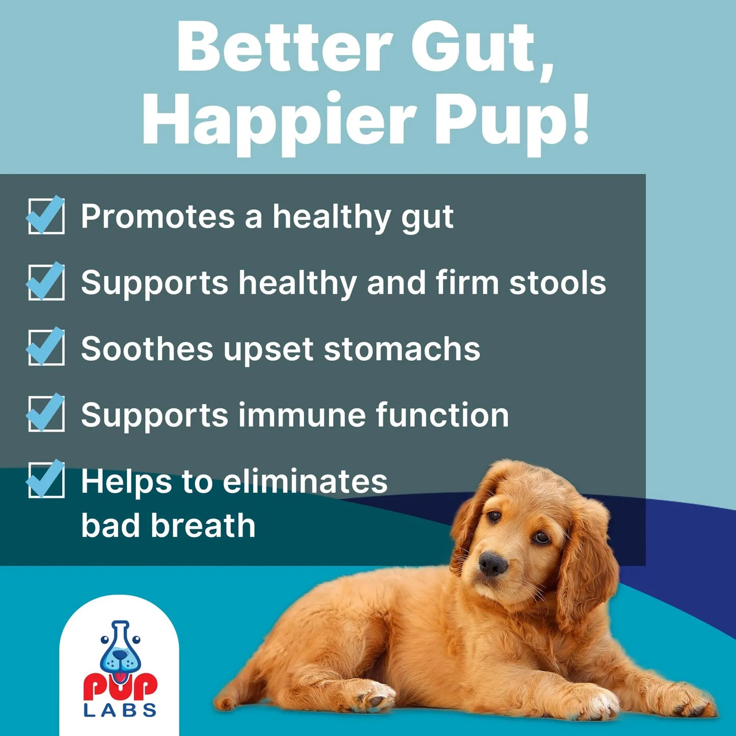 Probióticos Esenciales Para Perros Salud Intestinal Y Bienestar