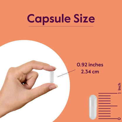 L Leucina 500 Mg 480 Capsulas Veganas Sin Aditivos Para Masa Muscular