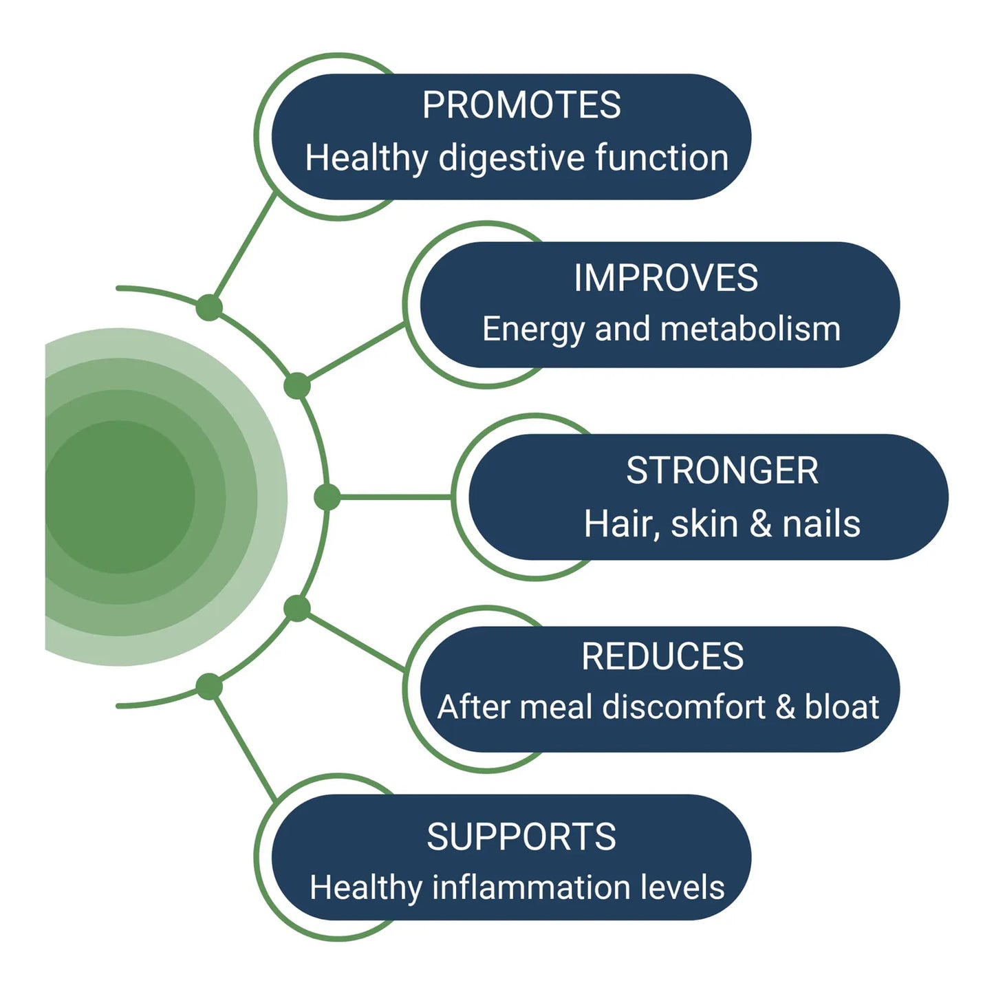 HCL Guard+ Apoyo Digestivo Con Betaína Jengibre Y Pepsina 60 Cápsulas