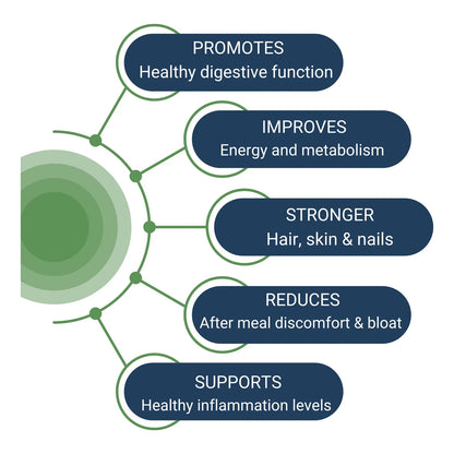 HCL Guard+ Apoyo Digestivo Con Betaína Jengibre Y Pepsina 60 Cápsulas