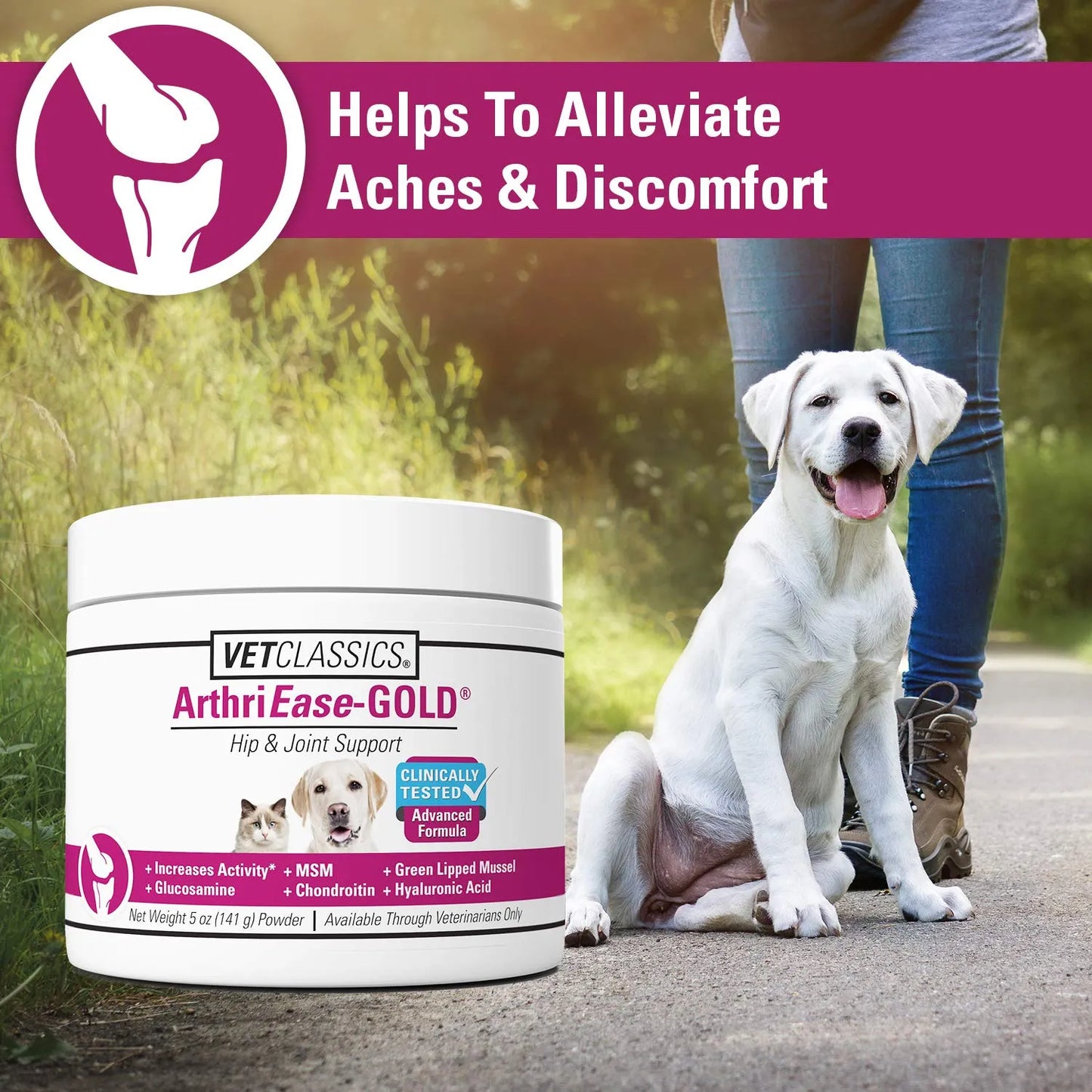 ArthriEase Gold Soporte Articular Para Perros Y Gatos Alivia Dolor Y Rigidez