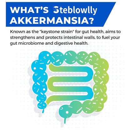 Probióticos Akkermansia GLP 1 Para Salud Intestinal 60 Cápsulas Con Cromo Y Té Verde