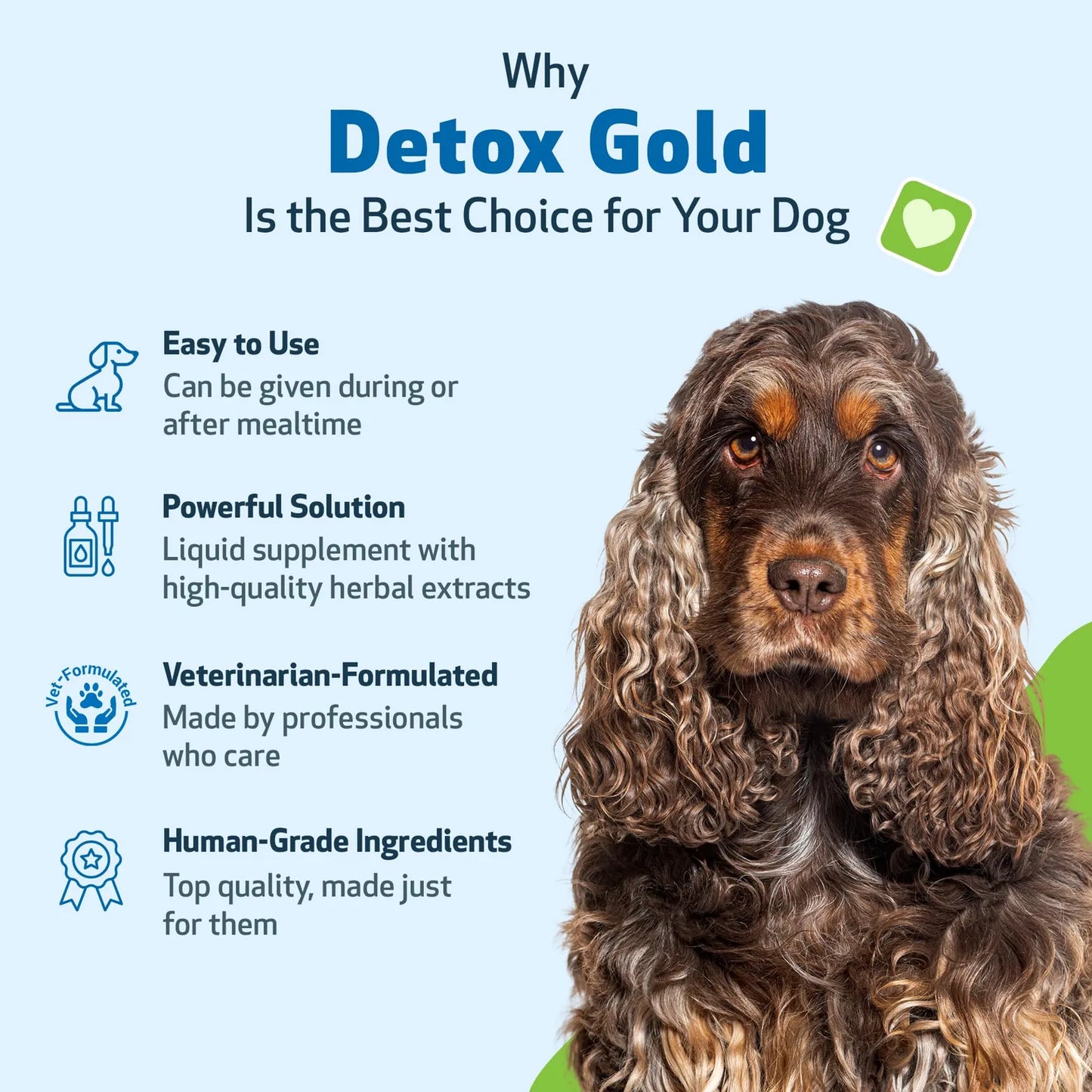 Detox Gold Para Perros Suplemento Natural Desintoxicante Y Fortalecedor Inmunologico