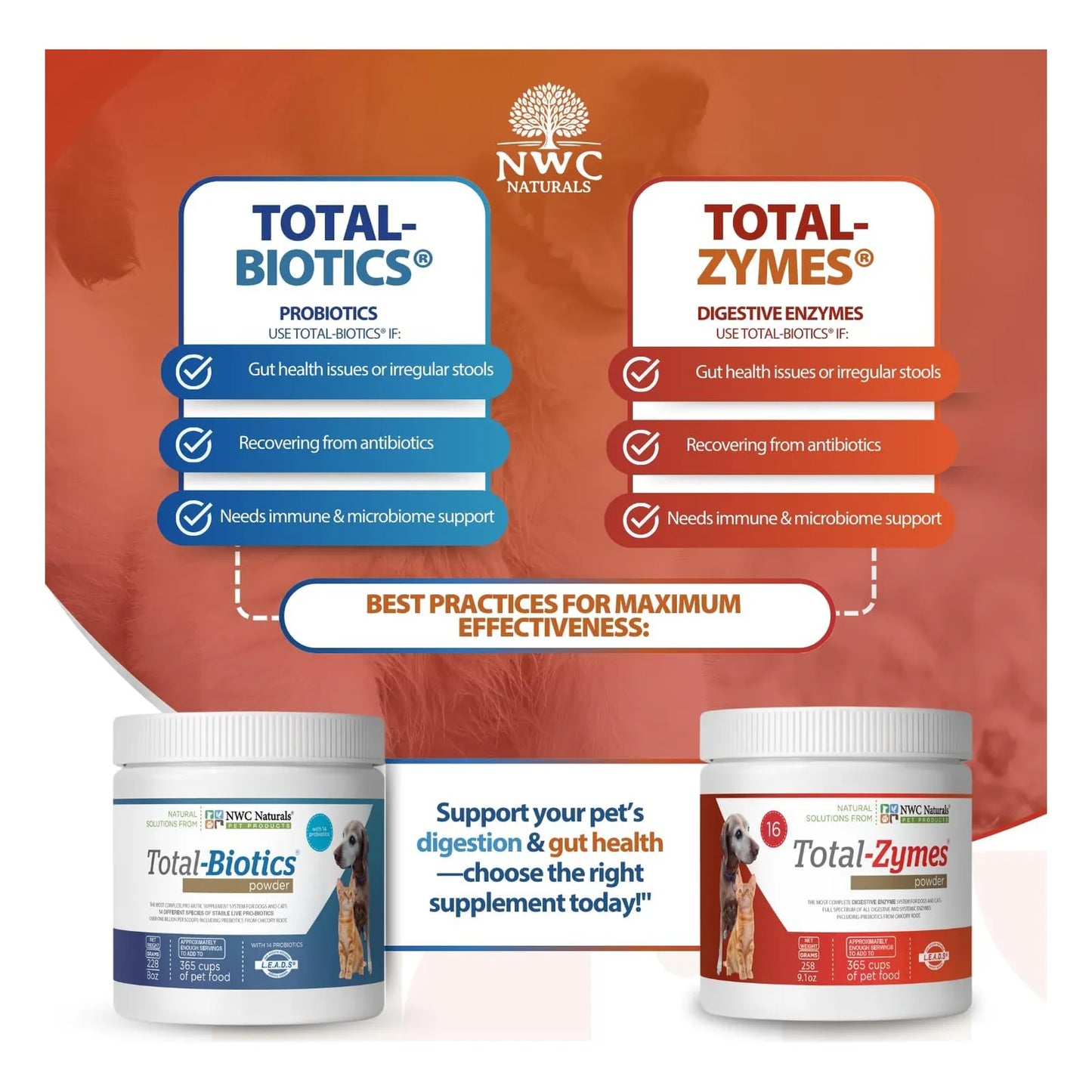 Paquete Doble Probióticos Enzimas Digestivas Perros Gatos NWC Naturals Salud Intestinal