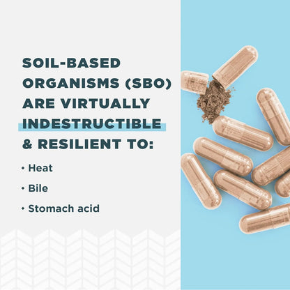 Probióticos Para Hombres 60 Cápsulas Salud Intestinal Apoyo Digestivo E Inmunológico Ancient Nutrition