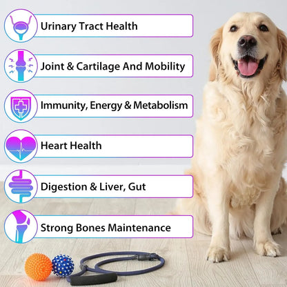 Multivitaminico Liquido 15 En 1 Para Perros Piel Corazon Y Articulaciones