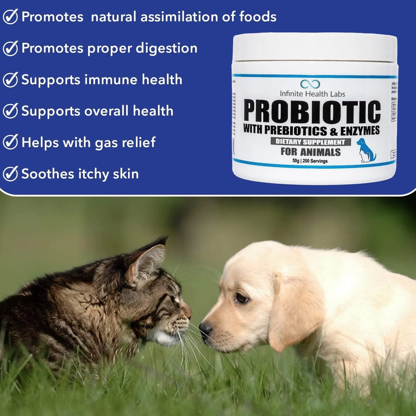 Probióticos En Polvo Para Perros Y Gatos Formulados Por Veterinarios Salud Digestiva E Inmunológica