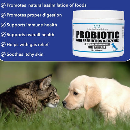 Probióticos En Polvo Para Perros Y Gatos Formulados Por Veterinarios Salud Digestiva E Inmunológica