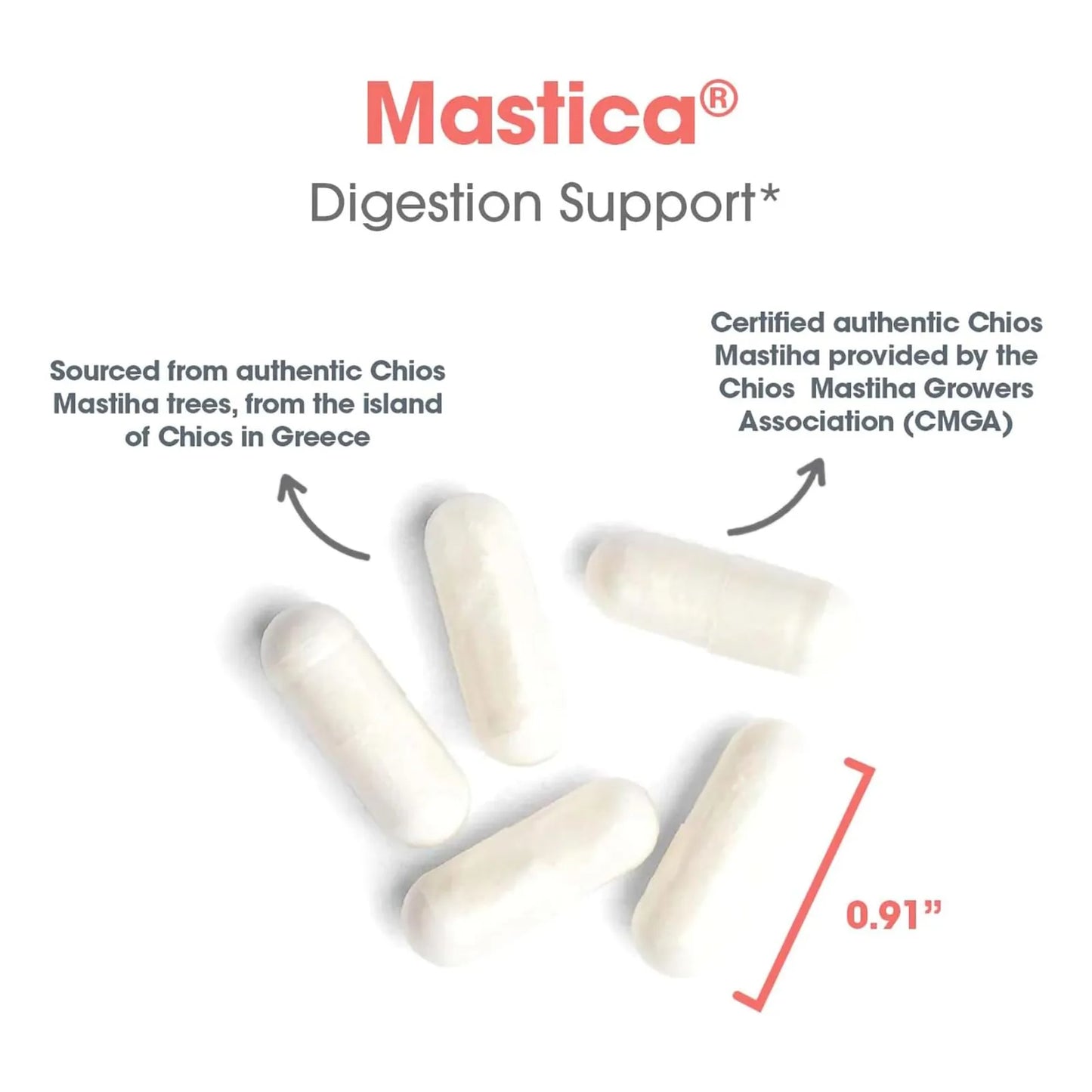 Mastica De Quios Hipoalergenica 240 Capsulas Salud Gastrointestinal Allergy Research Group
