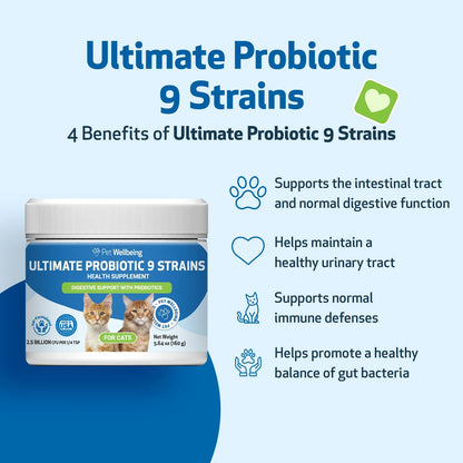 Probióticos Avanzados Para Gatos 9 Cepas Con Prebióticos Salud Intestinal E Inmunidad