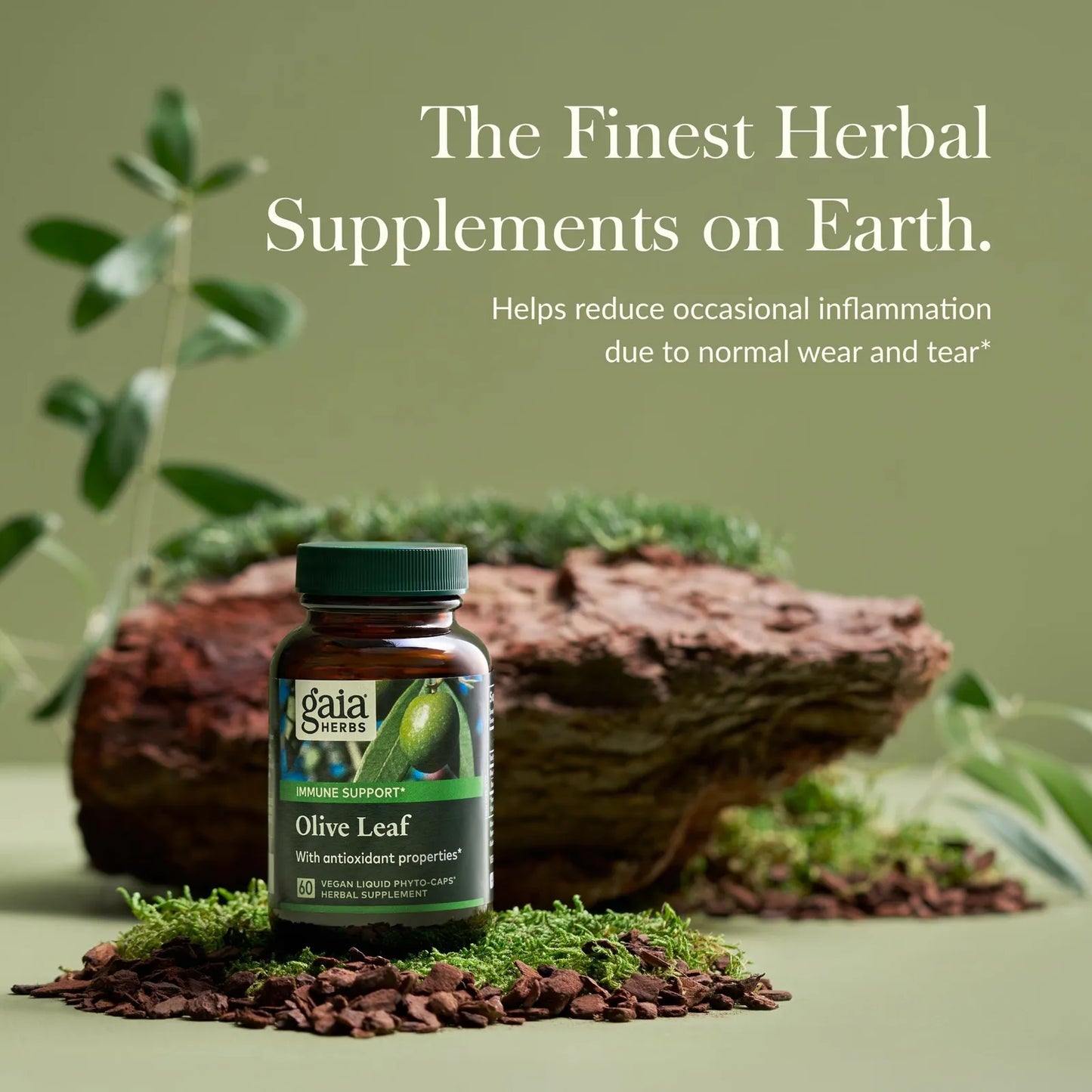 Extracto De Hoja De Oliva 60 Cápsulas Refuerza Tu Sistema Inmunológico Naturalmente
