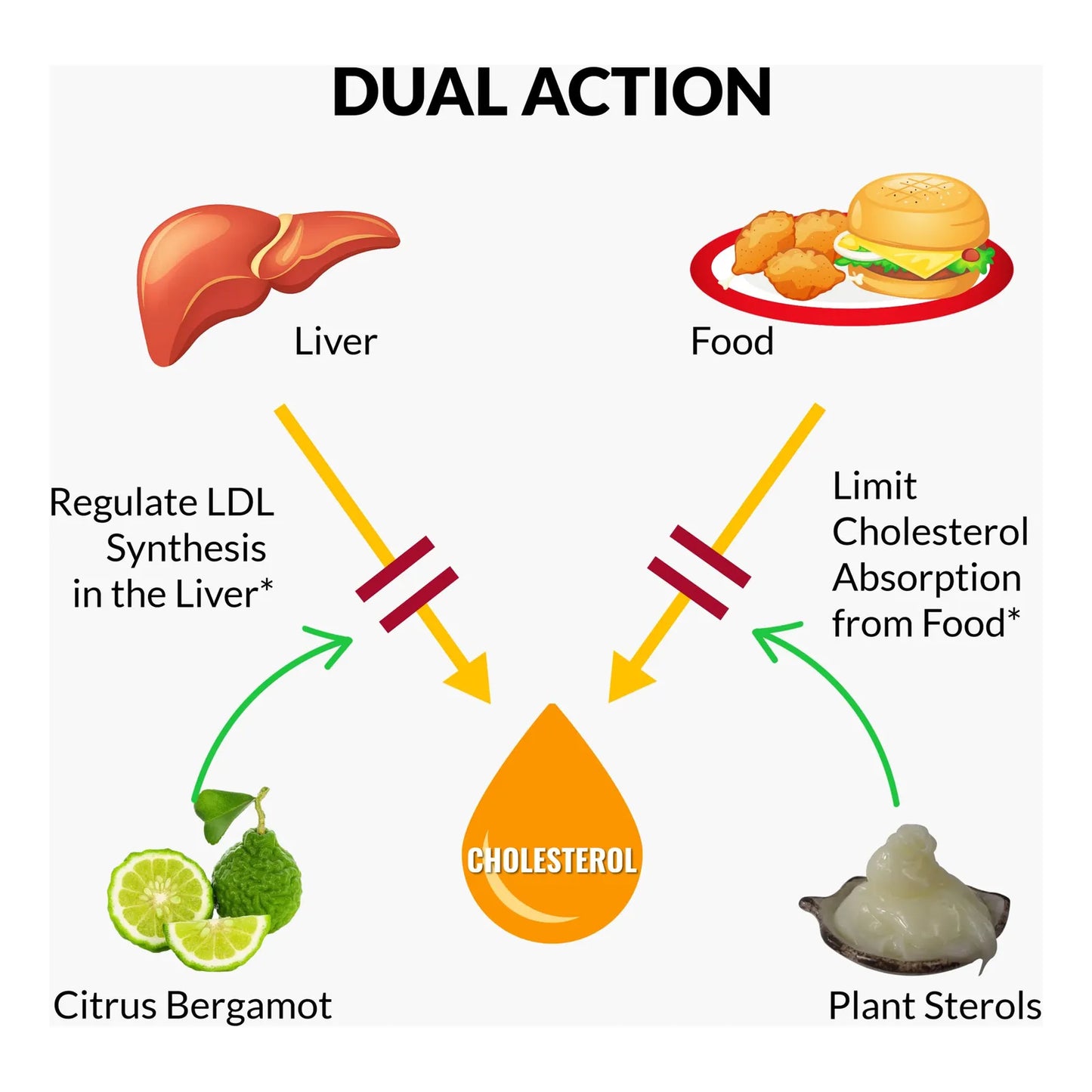 Suplemento Bergamota Citrica Esteroles Vegetales Estanoles Salud Cardiaca Coq10 Omega 3