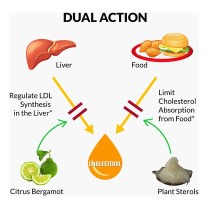Suplemento Bergamota Citrica Esteroles Vegetales Estanoles Salud Cardiaca Coq10 Omega 3