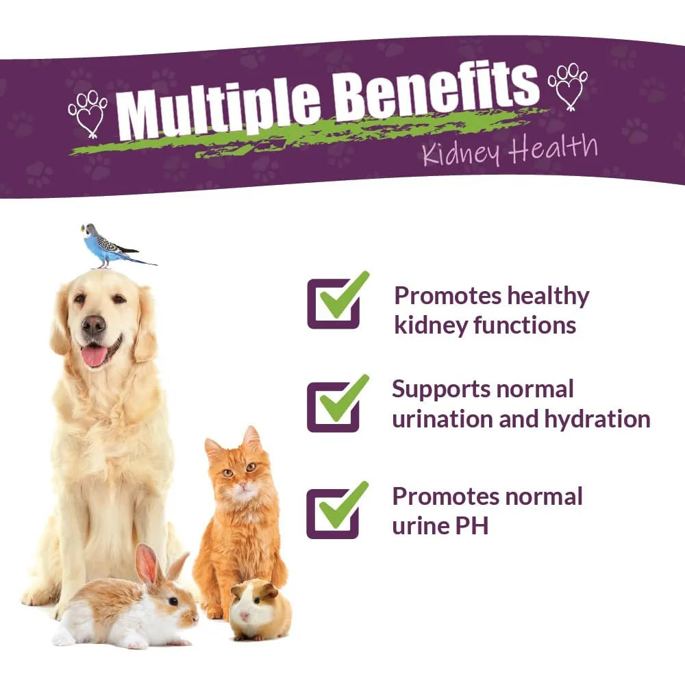 Suplemento Herbario Rejuvenecedor Renal Para Mascotas Mezcla Natural Apoyo Renal Perros Gatos