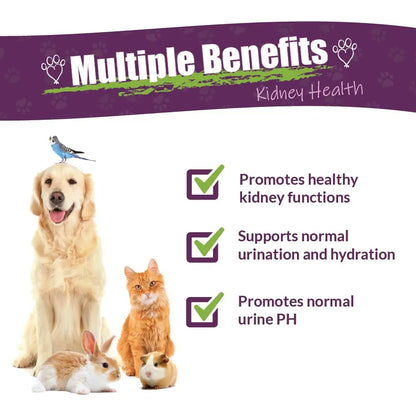 Suplemento Herbario Rejuvenecedor Renal Para Mascotas Mezcla Natural Apoyo Renal Perros Gatos