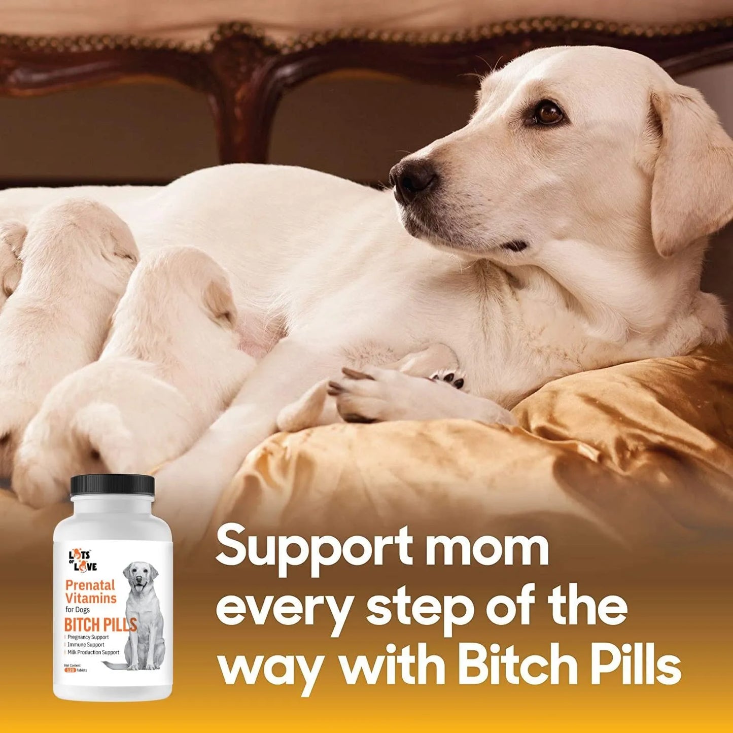 Vitaminas Prenatales Para Perros 120 Tabletas Apoyo Nutricional Embarazo Y Lactancia