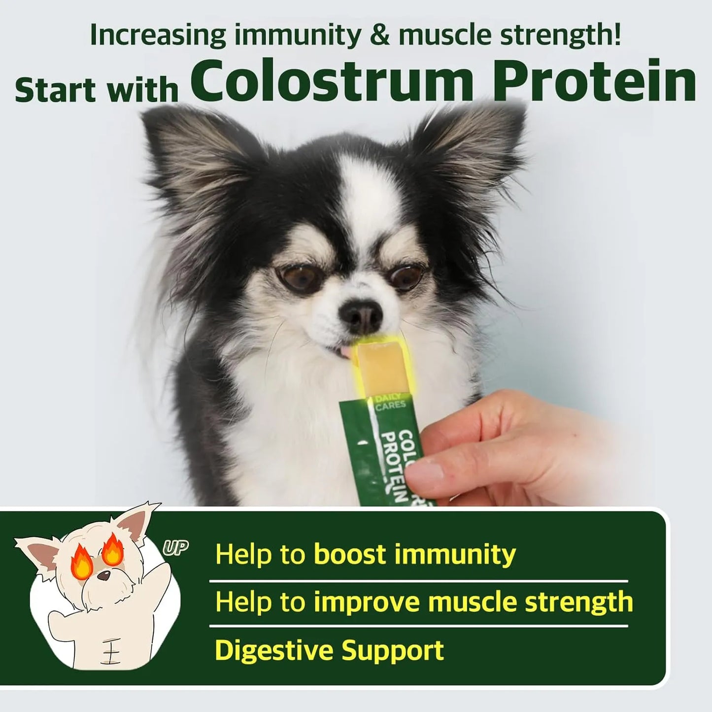 Proteina De Calostro Para Perros Y Cachorros Aumento De Peso Y Sistema Inmunologico